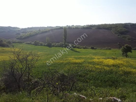 Susurluk Babaköy De 57000 M2 Satılık Tarla