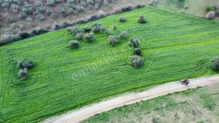 Üvecik De Yol Kenarı Köye Yakın Tarla