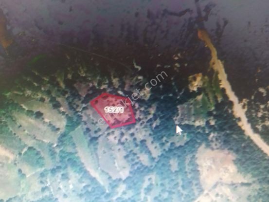 Satılık Tek Tapulu Doğa Manzaralı