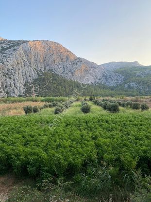 Mersin/silifke'de Denize Nazır Satılık Tarla