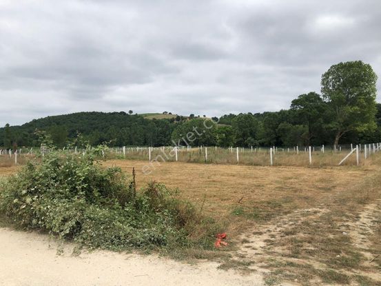 Çatalca Kalfa Köyünde Acilen Satılık Hisseli Arsa 750m2