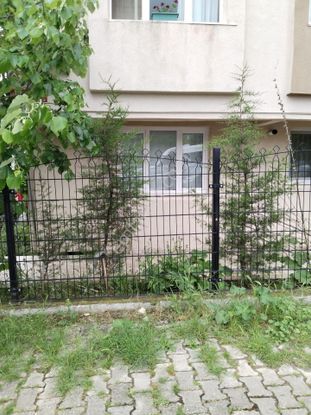 Çatalca Ferhatpşa Mah.acilen 3+1 Daireler Satılıktır.