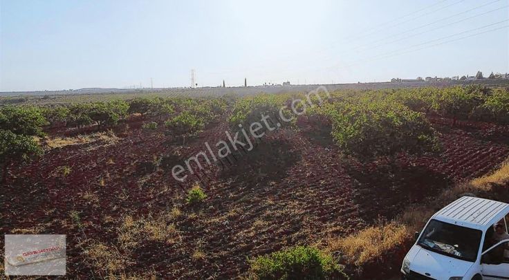 emlakjet-image-not-found