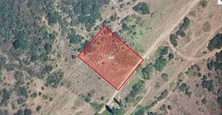 Bursa Kılıç Tan Yenişehir Marmaracık Ta 2 Dönüm Satılık Tarla