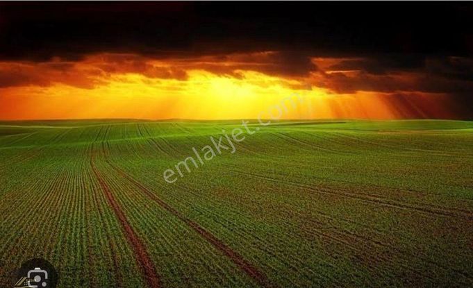 emlakjet-image-not-found