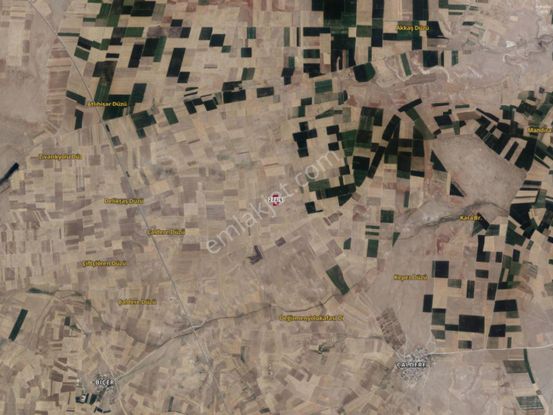 Konya/sarayönü/başhüyük'te 31.605 M² 1. Sınıf Tarla