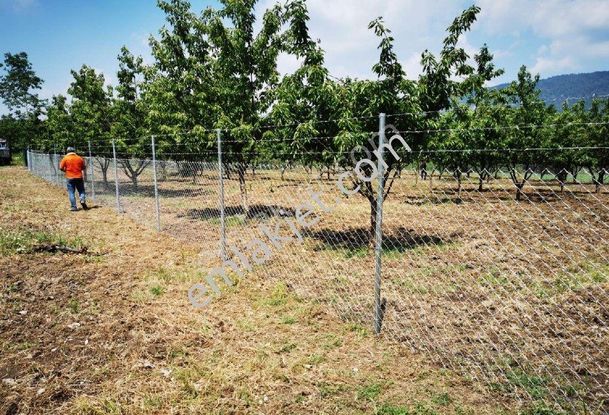 Bursa Kestel Gölcük'te Satılık Köye Yakın Kiraz Bahçesi