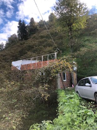 ( 31 ) Giresun Teyyaredüne 15 Dönüm 1km Mesafede Bulunan, İleride İma