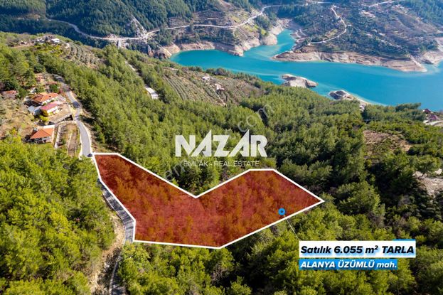Alanya Üzümlü Mahallesi’nde 6.055 M² Satılık Baraj Manzaralı Tarla