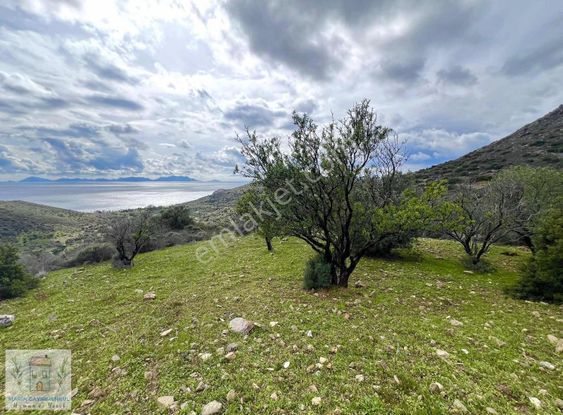 Marinden Yazı Mah. Eşsiz Deniz Manzaralı Yatırımlık Bademlik