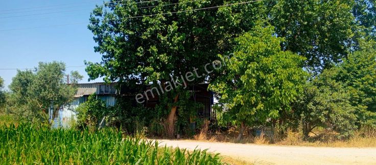 emlakjet-image-not-found