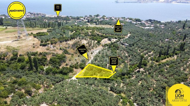 Erdek Aşağıyapıcı Mahallesinde Fırsat Ve Yatırımlık 857m² Satılık Zeytinlik
