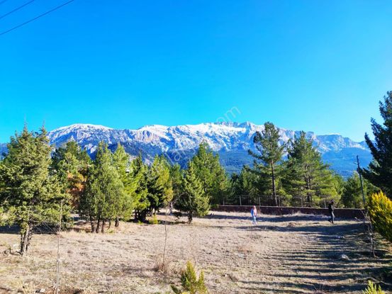 Pozantı Kar Emlaktan Akçatekir Alparslan Mevkiinde Doğa Manzaralı Satılık Yaylalık 375 M2 Arsa