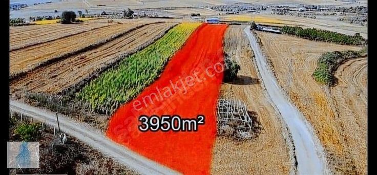 emlakjet-image-not-found