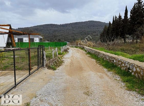 Bal Gayrimenkul - Yeniköyde Harika Konumda Yola Cepheli Bahçe