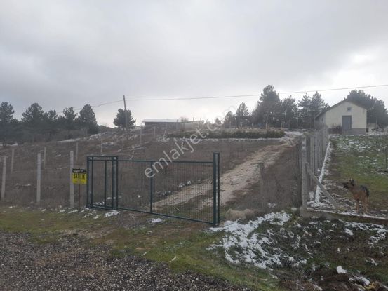 Saraycık Köyü Hobi Bahçesi