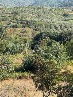 Frang Group'tan - Sahilyenice Mahallesinde 312 M2 Satılık