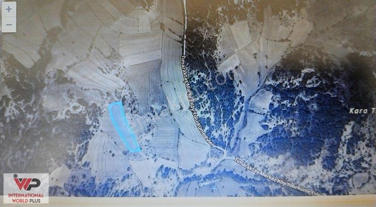 Bolu Mudurnuda Satılık Ekili Tarla