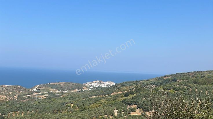 Frang Group'tan Sahil Yenice'de 3.963 M2 Tarla