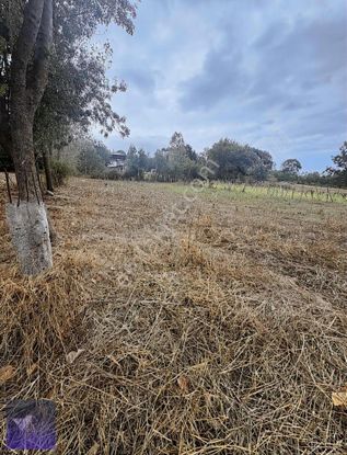 Çelik Emlak'tan Sarıtaş'ta Satılık Tarla