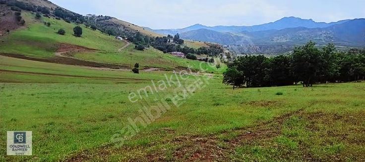 Tunceli De Tarla Fırsatı