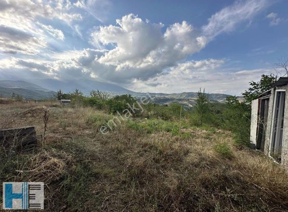 İnegöl Paşaören De Satılık 4288m2 Tek Tapu Hobi Bahçesi