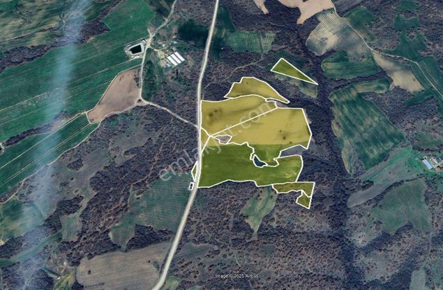 C21 Bal'dan 135 Dönüm Tek Parça//proje Geliştirmeye Uygun Tarla