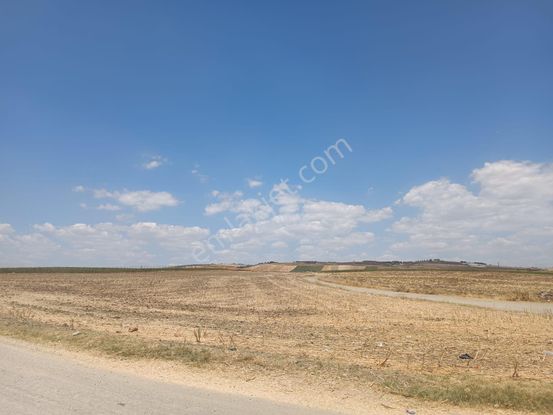 Tekirdağ Marmaraereğlisi Ana Yola Ve Denize Yakın Uyguna Hisse 275,3 Ada Parselde