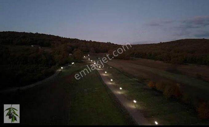 Şile Çengilli Merkezde Doğanın İçinde Arsa Tapulu Harika Fırsat