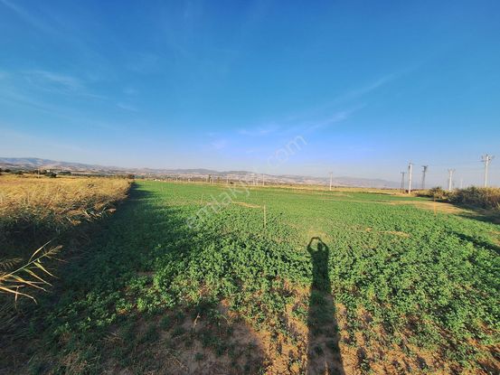 emlakjet-image-not-found