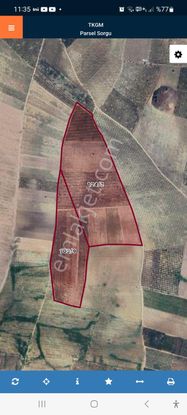 Sahibinden 22 Dönüm Zeytinlik