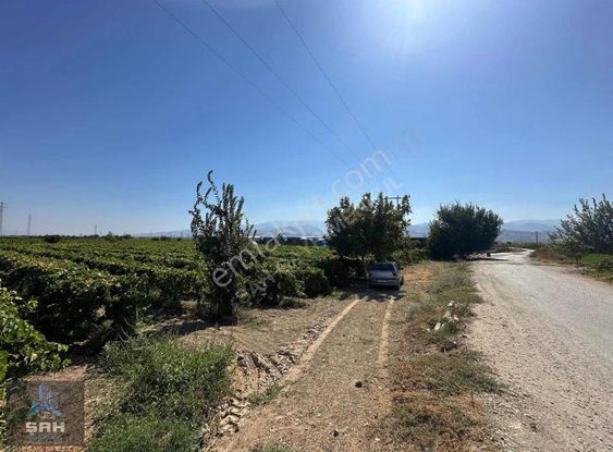 Asfalt Yol Üzeri 7.5 Dönüm Tek Tapu Kaçırılmayacak Satılık Bağ