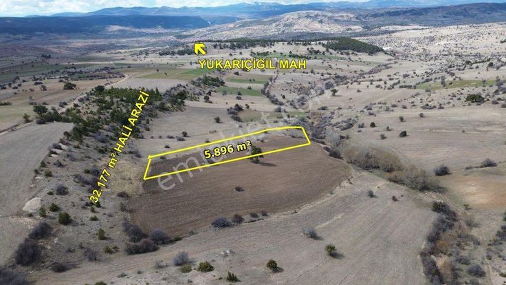 Ilgın Yukarıçiğilde 5.896 M2 Müstakil Tapulu Tarla