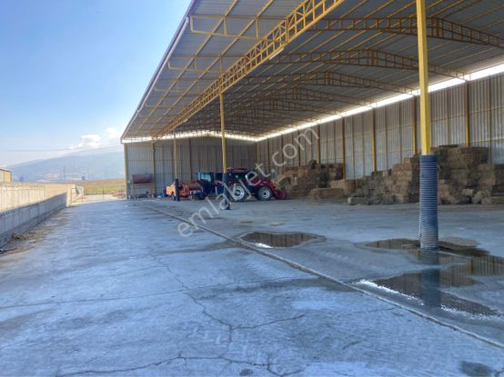 emlakjet-image-not-found