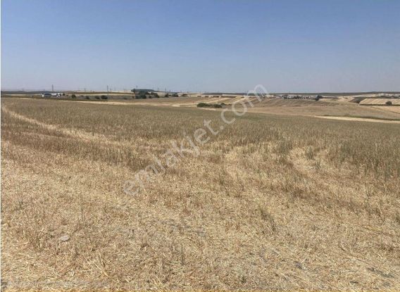 Kırklareli Lüleburgaz Dereköy 18 Dönüm