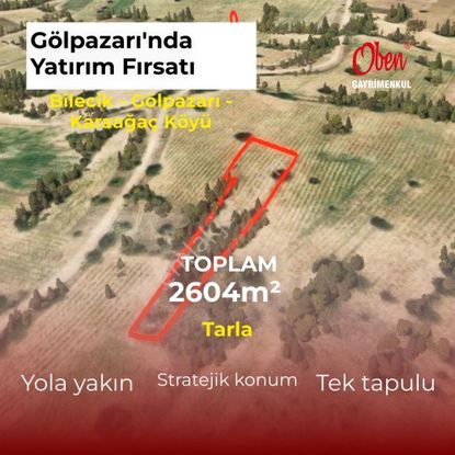 Gölpazarı Karaağaç'ta, Ekilir, Biçilir, 2604m2 Müstakil Parsel