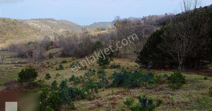 Hacıselli Köyünde Deniz Manzaralı 3 Dönüm