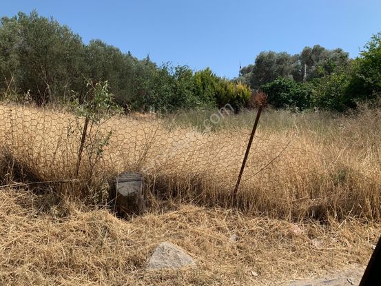 Sahibinden Satılık Köşe Parsel İmarlı Satılık Arsa