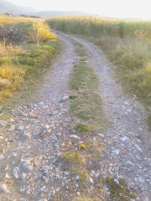 Sahibinden Satılık Tarla Yolu Suyu Var