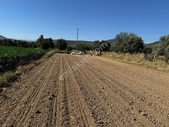 Sahibinden Muğla Milas