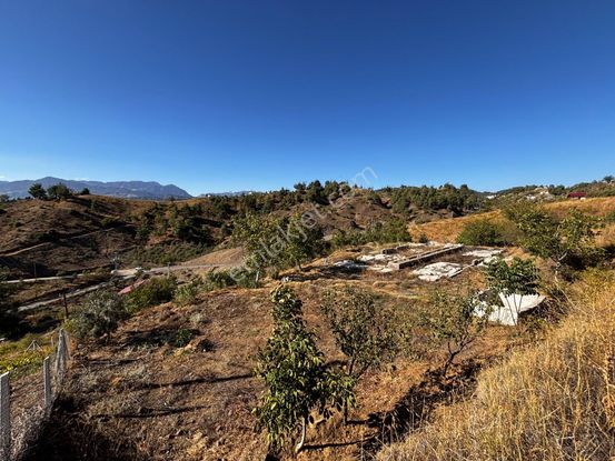 Cb'den Kürtül'de Tek Tapu (2.538 M2) Doğa Manzaralı Satılık Bahçe