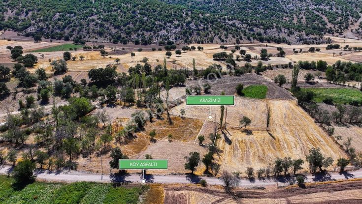 Afyonkarahisar Çepni Köyünde 172 M² Fırsat Bahçe