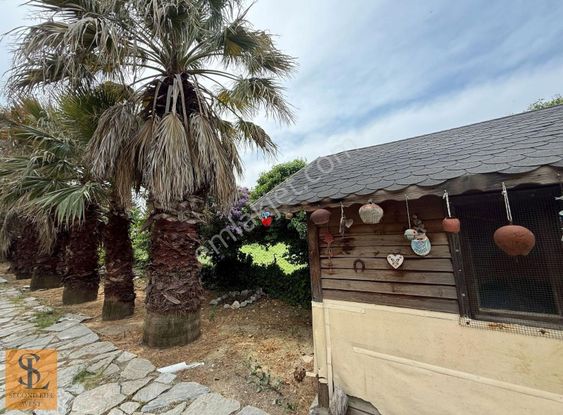 Değerine Değer Katacak Yatırım Gömeçte Satılık Çiftlik Ve Arazi