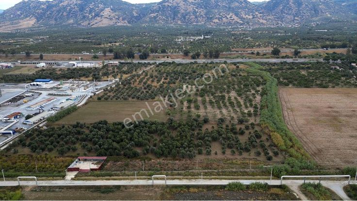 Kevser Alak'tan Germencik Ömerbeyli'de Satılık Tarla