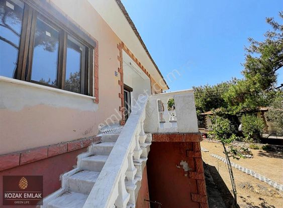 Ayvalık Çamlık Sefada Kiralık 2 Artı 1 Bahçeli Daire