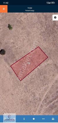 Köye Yakın Tarla..