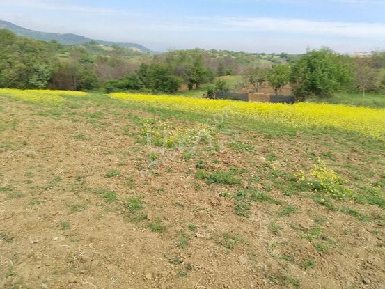 Bilecik Söğüt Dereboyu Köye İlçeye Çok Yakın Kadastro Yol Su