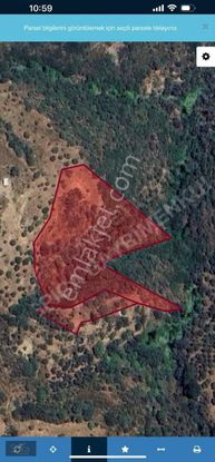 Tovi Franko Dan Karaburun Sarpıncıkta Satılık 11.458 M2 Tarla