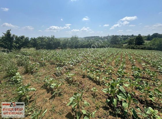 İmamlarda Yatırıma Uygun 1.330 M2 Satılık Havadar Konum Tarla