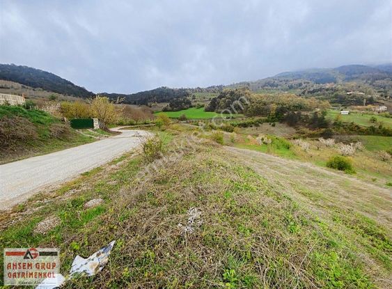 Sakarya Geyve Alıplar Mah. 1859 M² Satılık Arsa